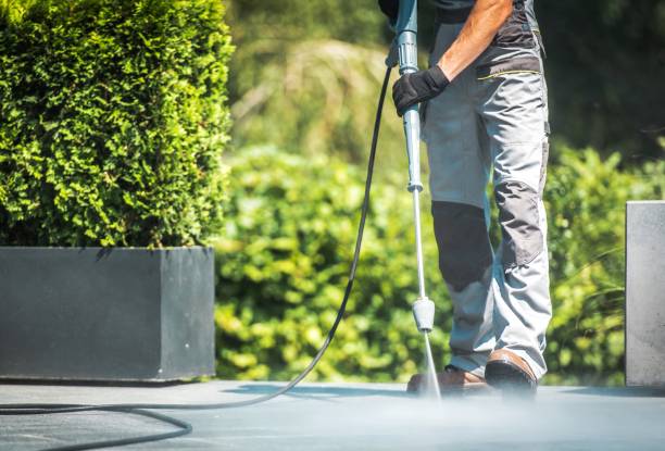 Animal Enclosure Cleaning in Richmond, TX